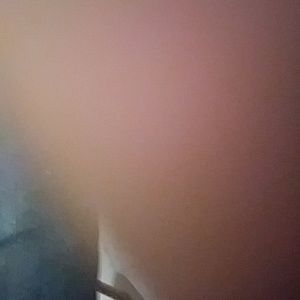 Meet your Posher, Larry