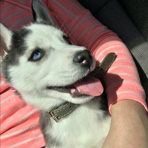 Meet your Posher, Brittney