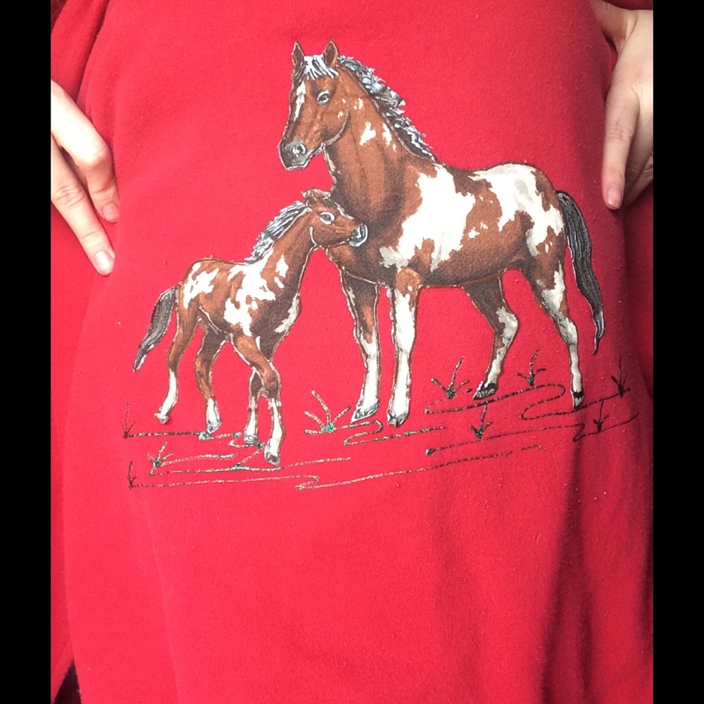 Hand painted red horse sweater
