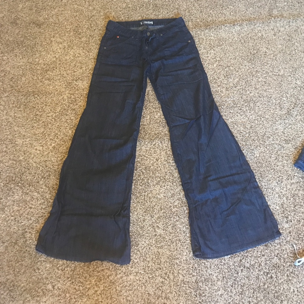 Hudson Flare Jeans