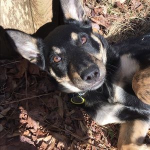 Meet your Posher, Evan