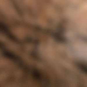 Meet your Posher, Kalvin