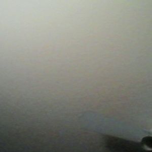 Meet your Posher, Cassie