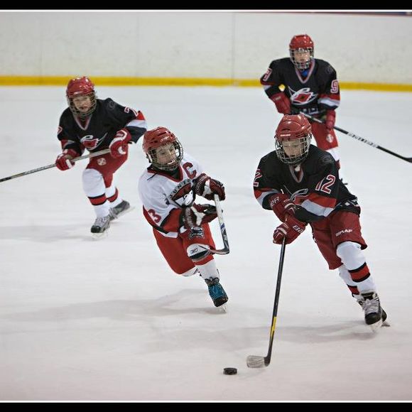 Meet your Posher, Dylan - Picture 1 of 1