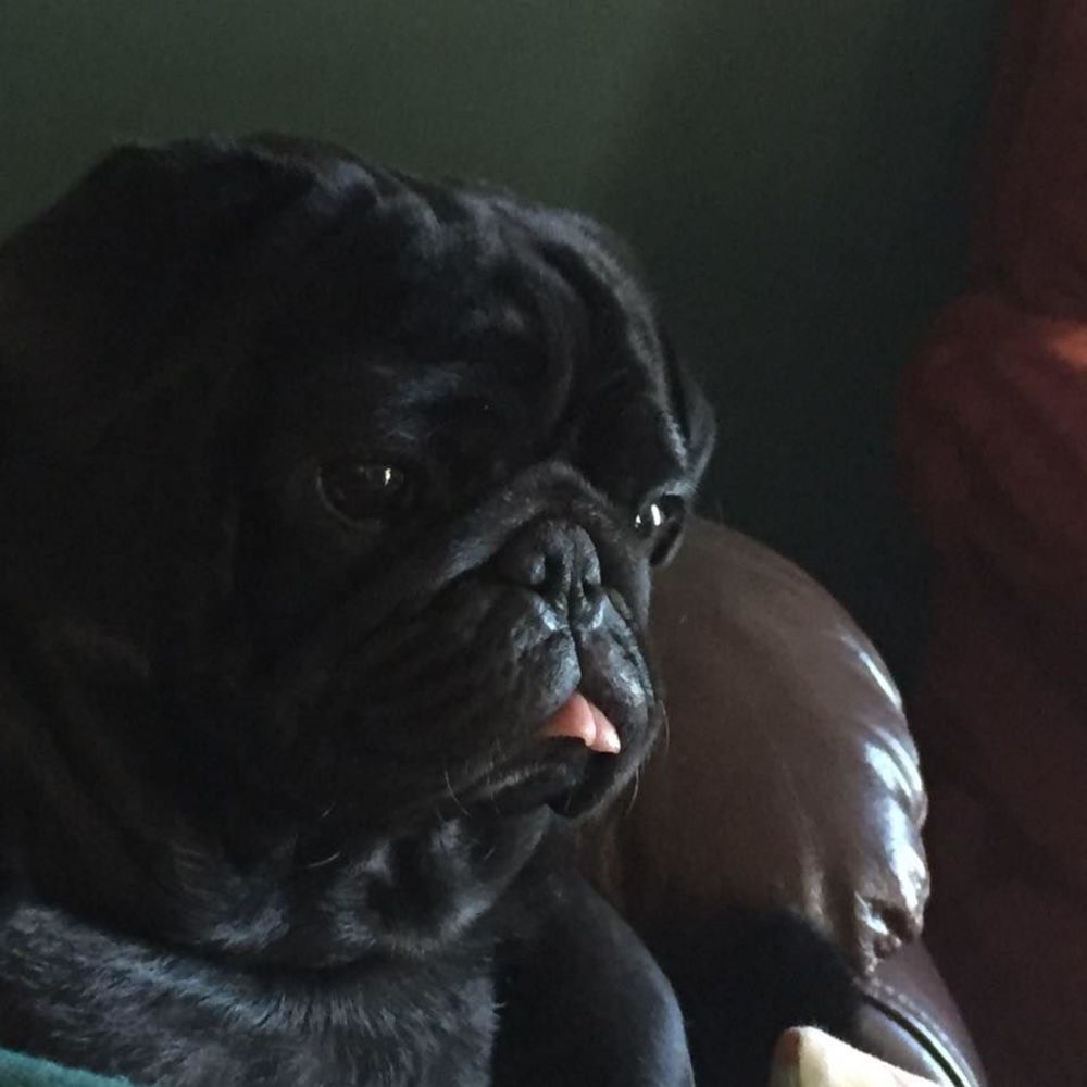 Meet your Posher, Cynthia