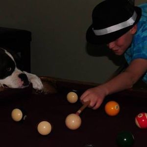 Meet your Posher, Michael