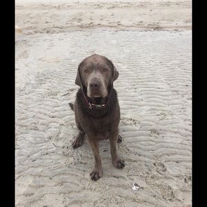 Meet your Posher, Martha