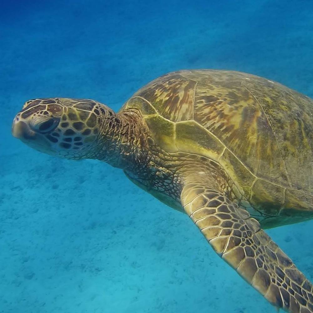 Meet your Posher, Becca