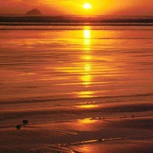 Meet your Posher, Ronald