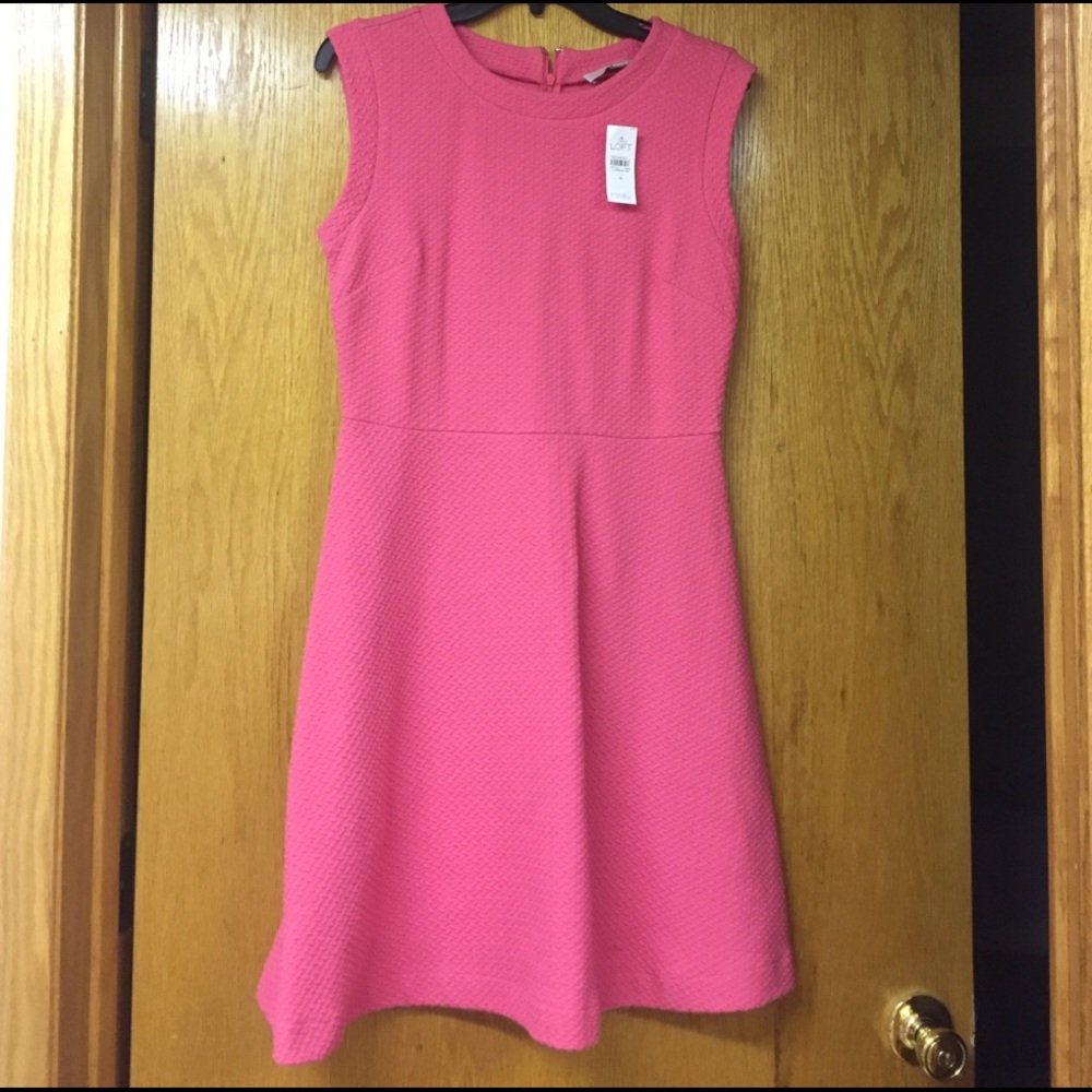 NWT Ann Taylor Loft pink* dress