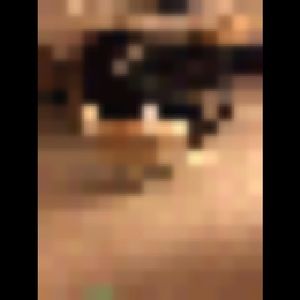 Meet your Posher, Terry