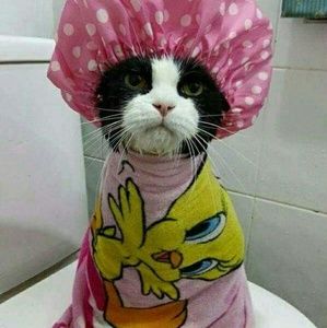 Meet your Posher, Sierra