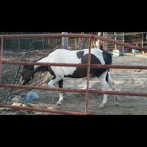 Meet your Posher, Marcell