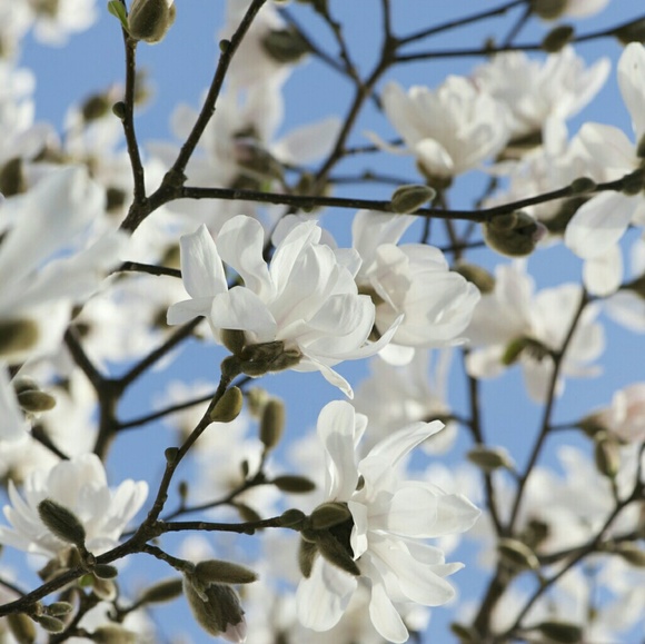 Meet your Posher, Kinga - Picture 1 of 1