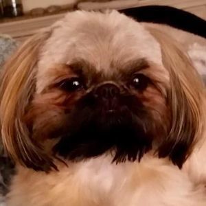 Meet your Posher, Barbara