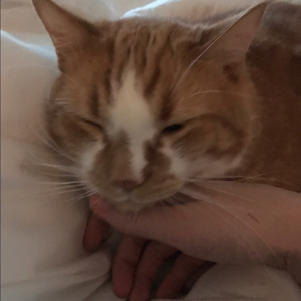 Meet your Posher, Laurie