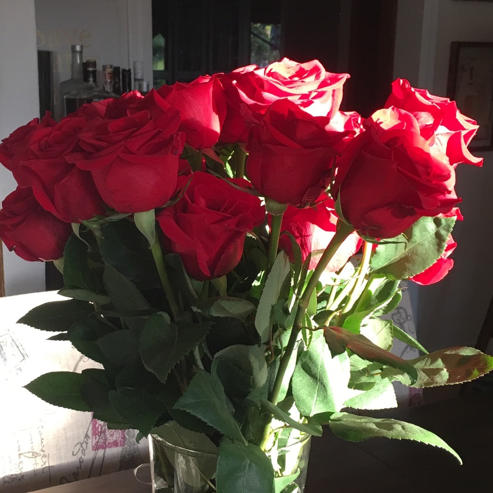 Meet your Posher, Katarina