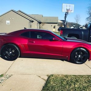 Meet your Posher, Haley