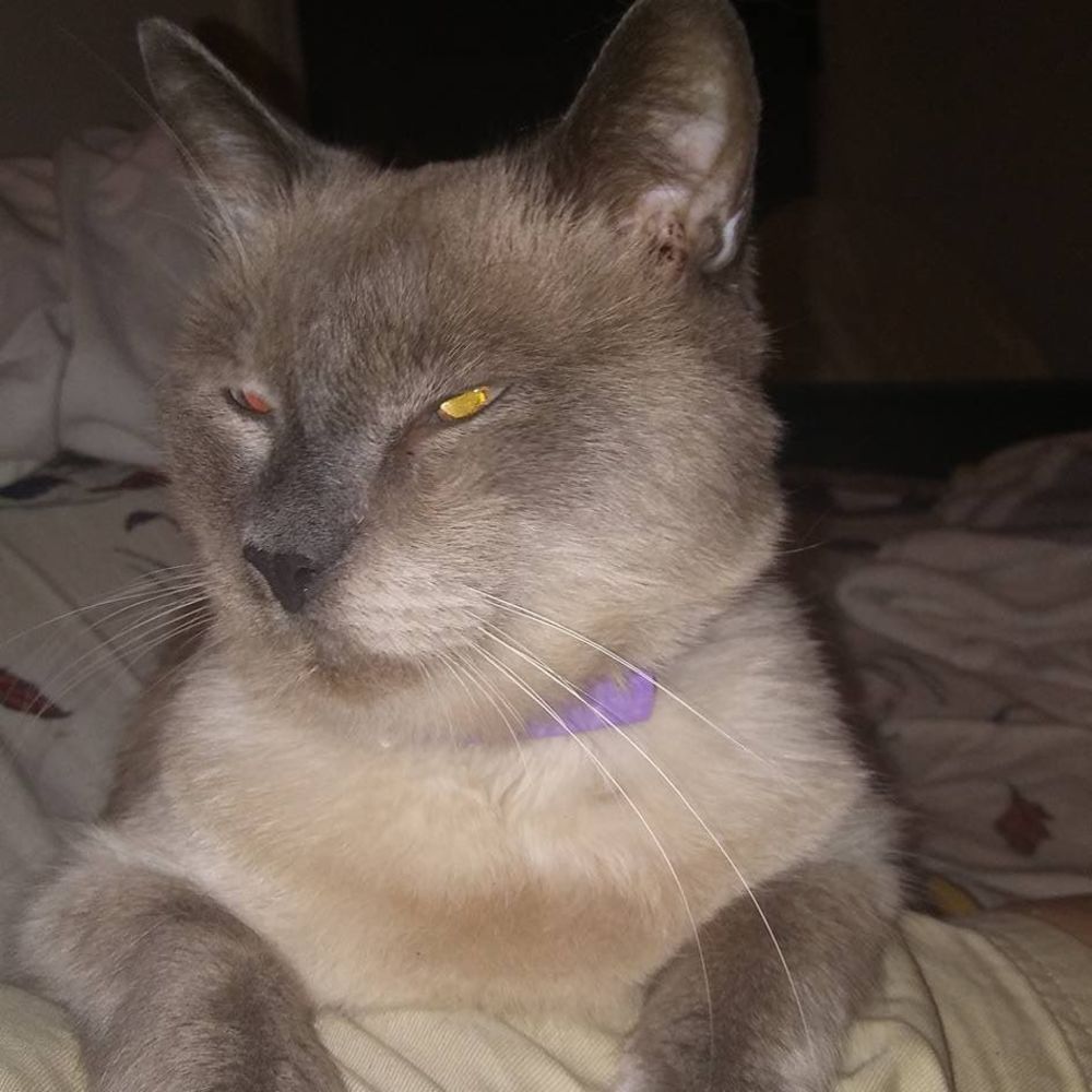 Meet your Posher, Teresa