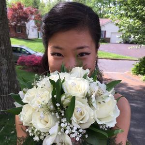 Meet your Posher, Lucy