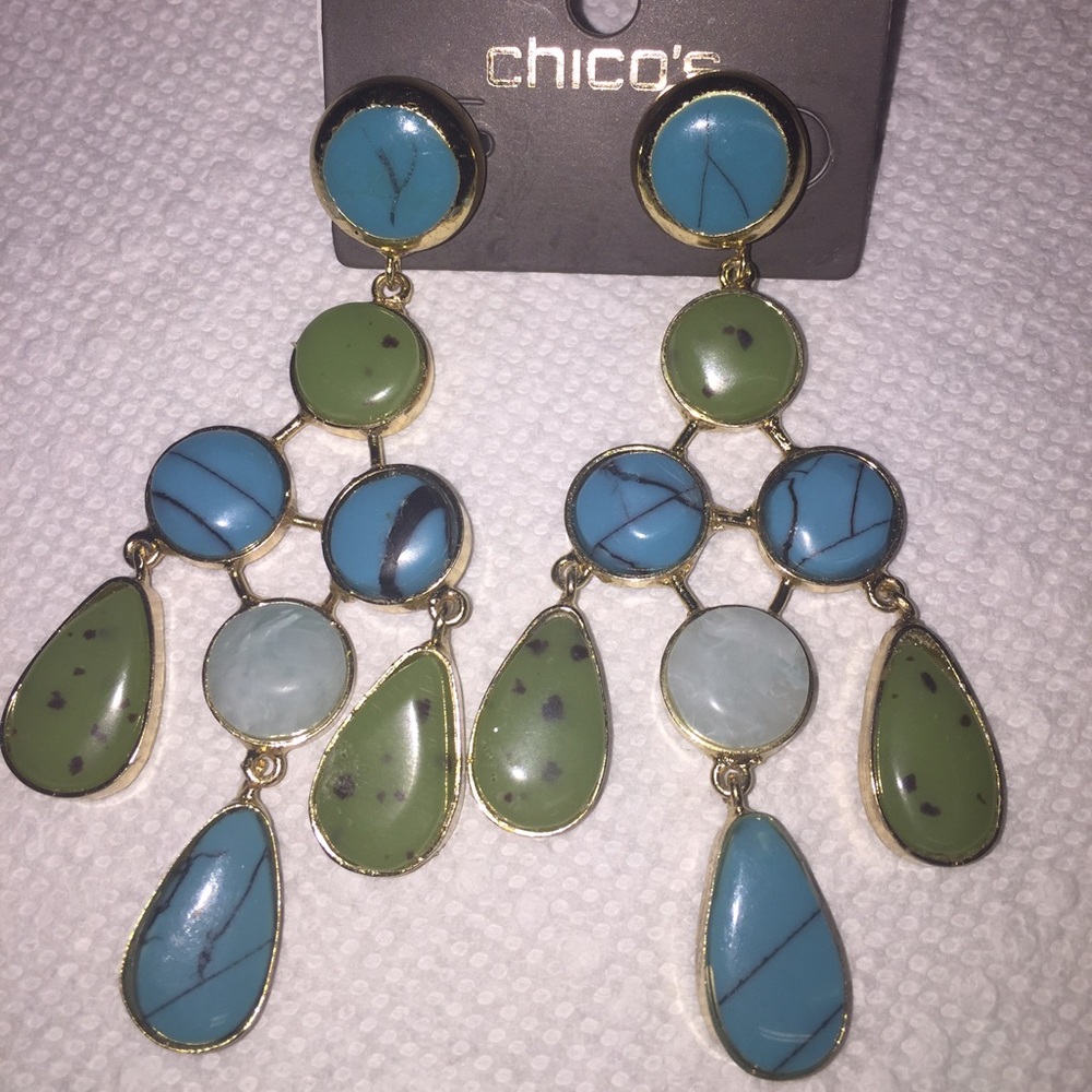 Earrings NWT