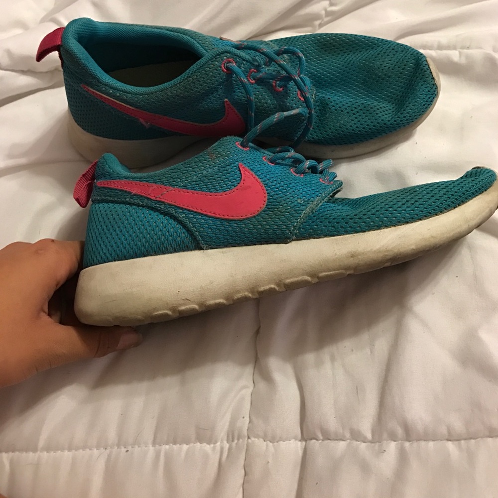 Blue and pink roshes