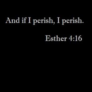 Meet your Posher, Nisha