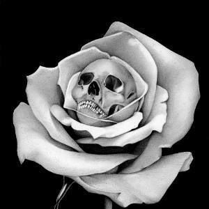 Meet your Posher, Dusty