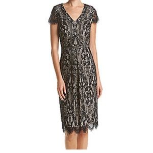 NWT stunning knee length lace black dress