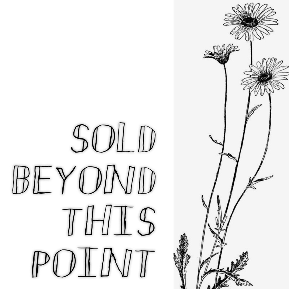 • • • all sold starting here • • •