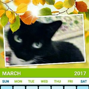 Meet your Posher, Beverly