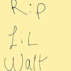 Meet your Posher, Shane