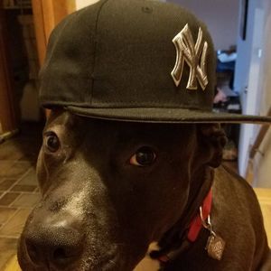 Meet your Posher, Steven