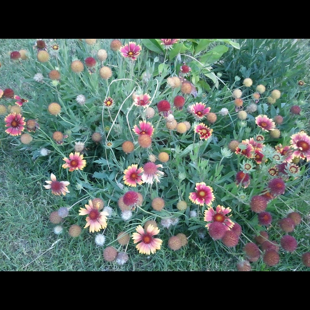 Meet your Posher, Aide