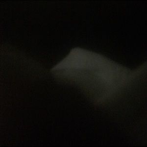 Meet your Posher, Eva