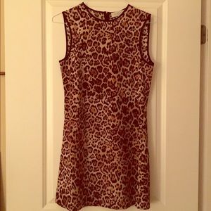 Leopard Dress from Nordstrom
