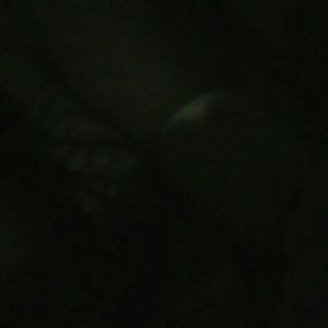 Meet your Posher, Nina