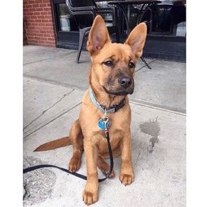 Meet your Posher, Matt