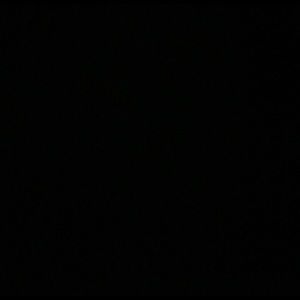 Meet your Posher, Lilly