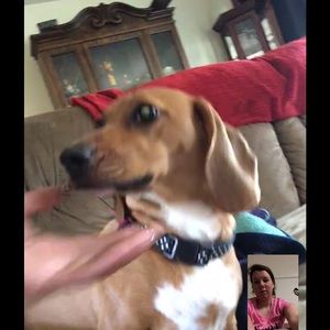 Meet your Posher, Julia