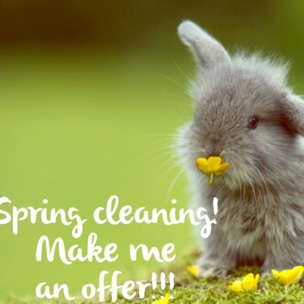 Spring cleaning bunny