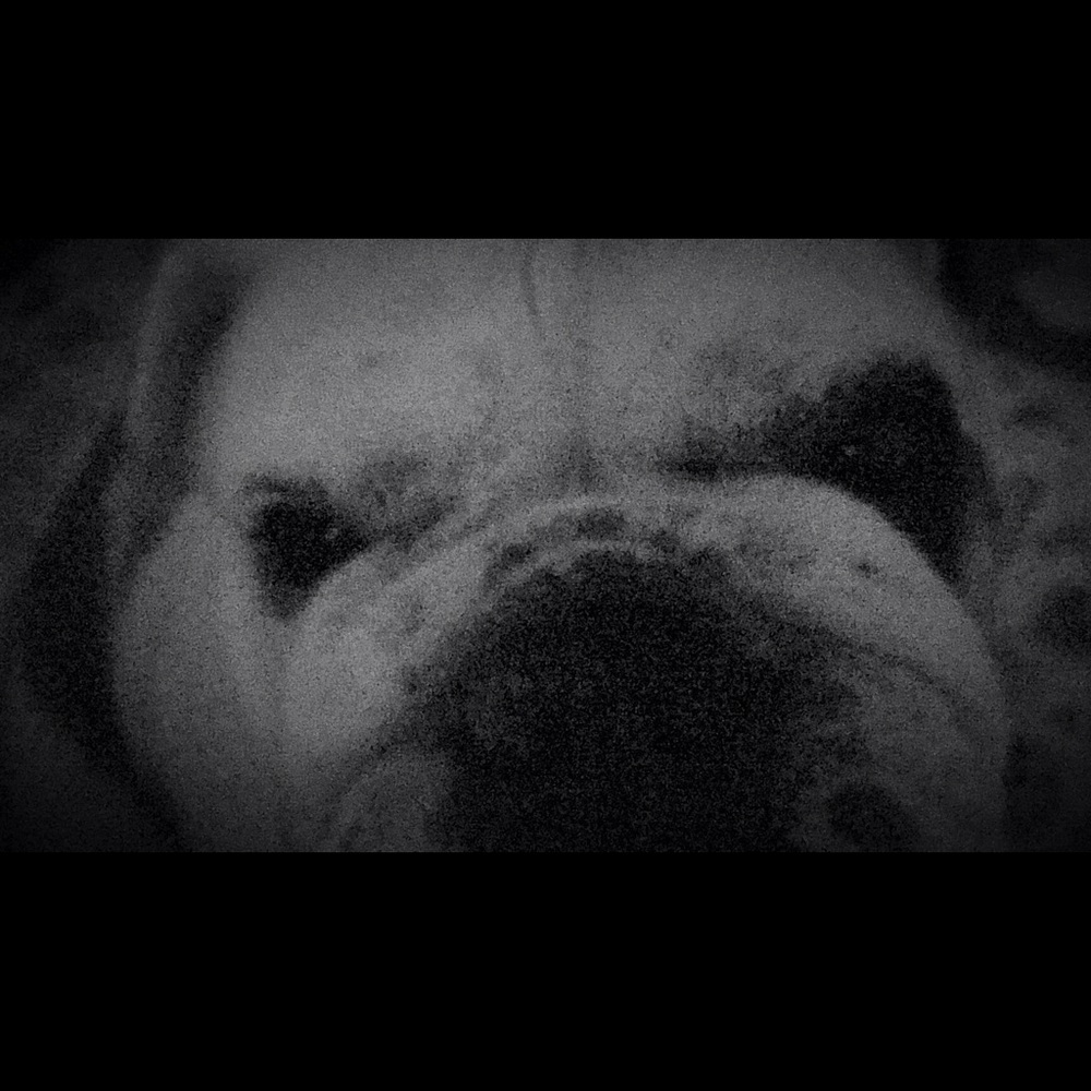 Meet your Posher, Brent