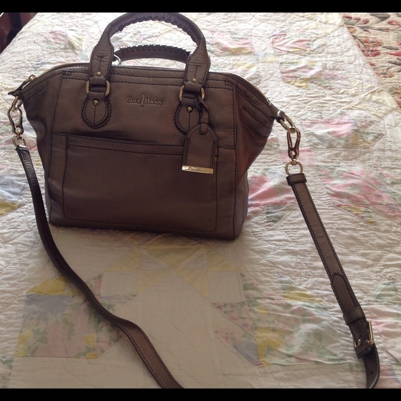 Metallic Purse