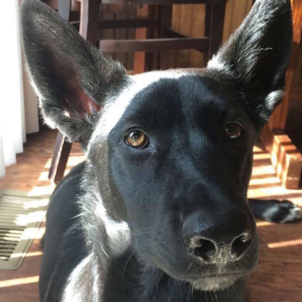 Meet your Posher, Makayla