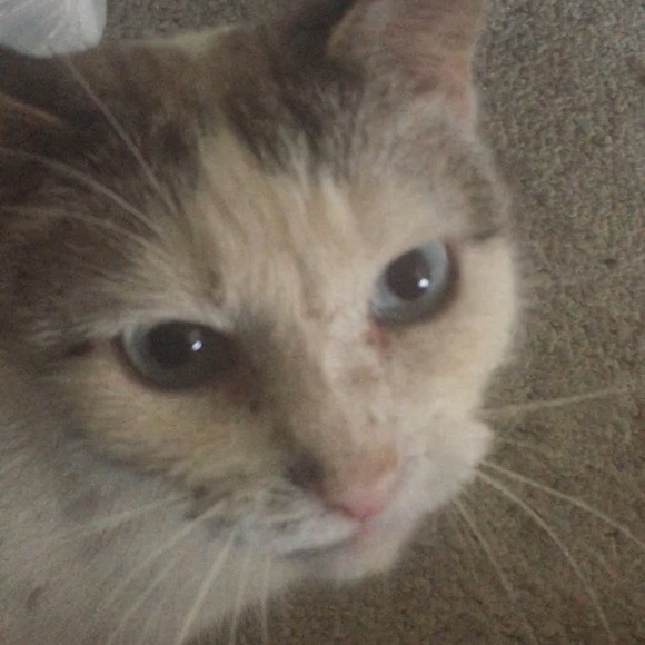 Meet your Posher, Beth - Picture 2 of 8