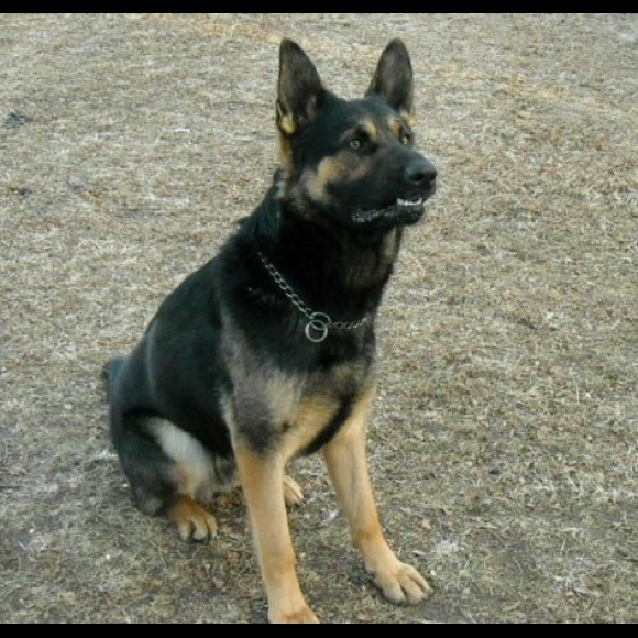 Meet your Posher, Beth - Picture 7 of 8