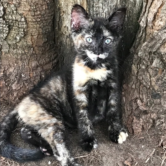 Meet your Posher, Beth - Picture 8 of 8