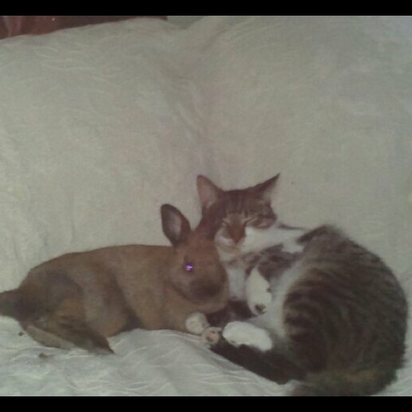 Meet your Posher, Beth - Picture 4 of 8