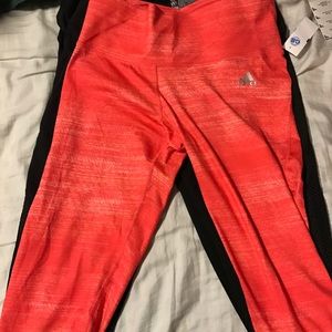 20$ medium and large