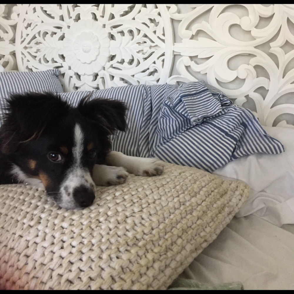 I'm moving and having a big sale! Make an offer!